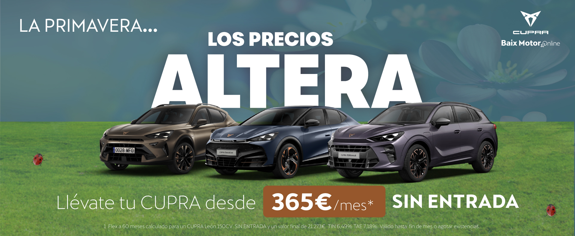 Tu nuevo CUPRA desde 135€/mes ¡Sin entrada!